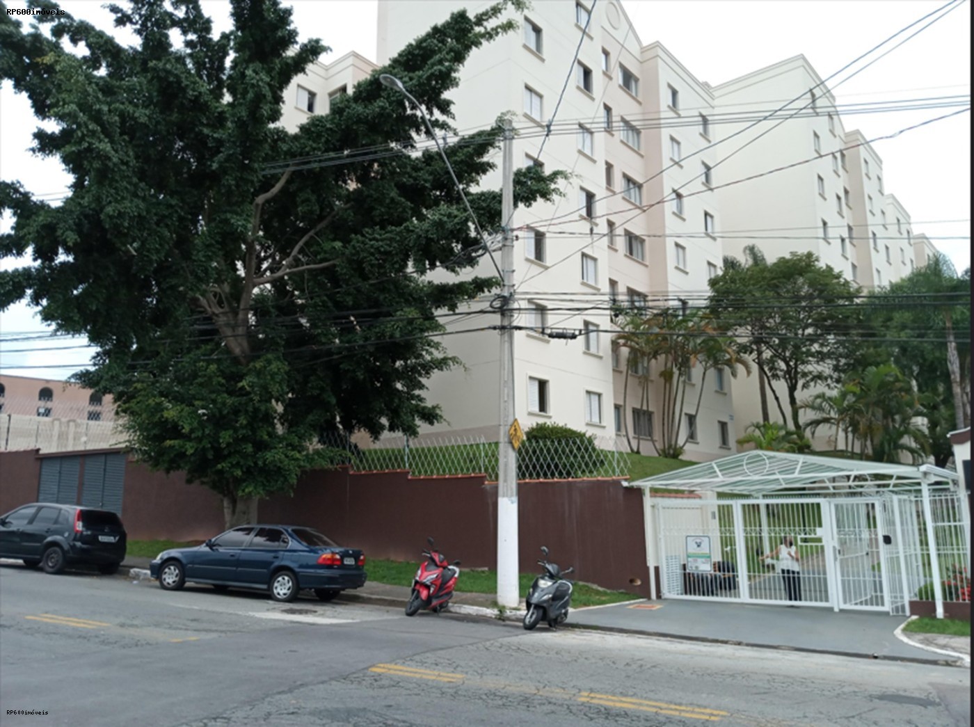 imagem-miniatura
