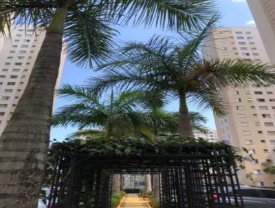 Apartamento para Venda, em Barueri, bairro Vila S�o Jo�o, 2 dormit�rios, 1 banheiro, 1 vaga